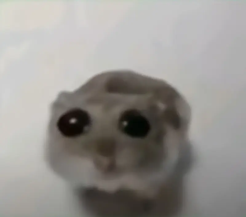 犧牲我成大事QnQ