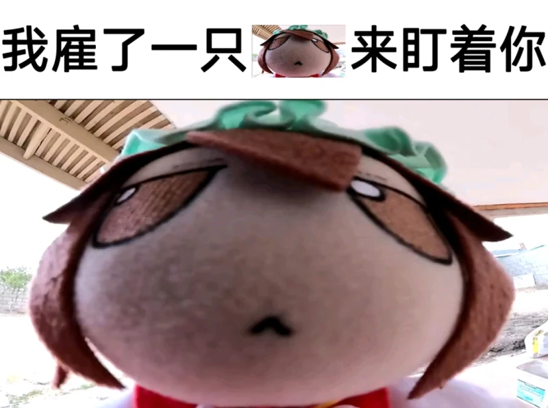 喵站现在的情况是怎样的？