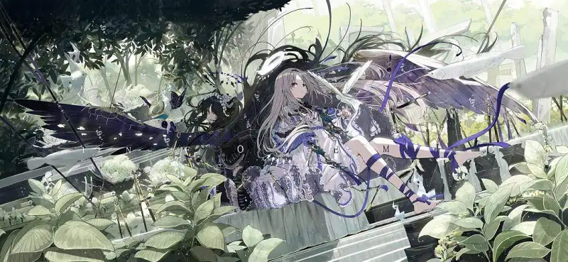 用户交流,美图,P站美图,美图搬运