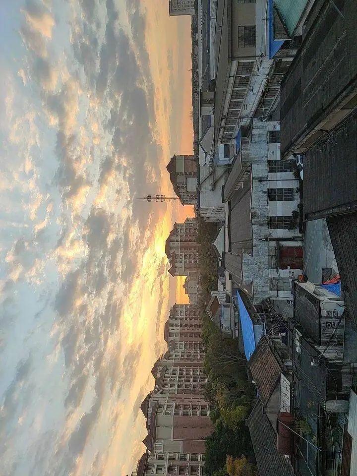 《 逐 》