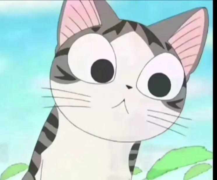 甜甜私房猫第一季op