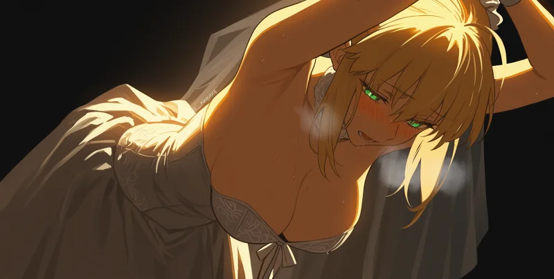 FGO,Fatestaynight