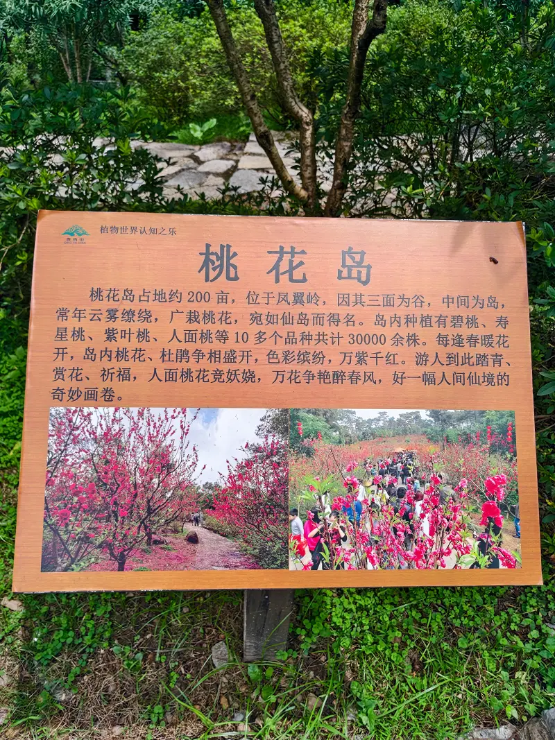 青秀山,三街两巷,特种兵般的旅游