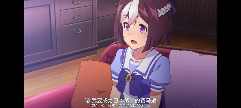赛马娘,赛马娘PrettyDreby,动画,动漫,番剧,ACG