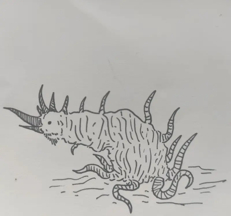 鱼