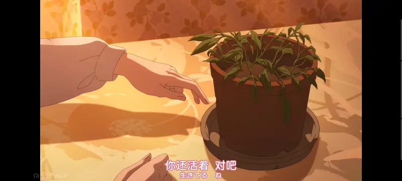 与你相恋到生命尽头,与你相恋到世界尽头,只愿深入爱河直至你逝去,百合,动画,动漫,番剧,日漫,ACG,二次元