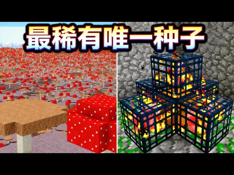 【中配】我的世界最罕见的独一无二种子 - TheMisterEpic hvKbkyQuZF8