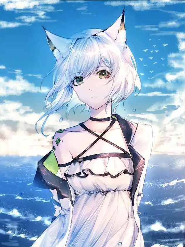 M站美图,明日方舟