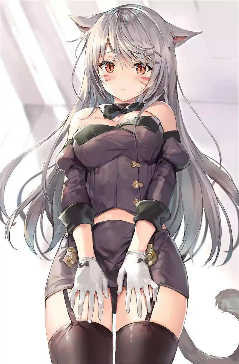 M站美图,美图
