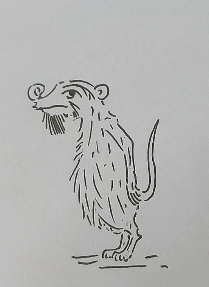 老鼠