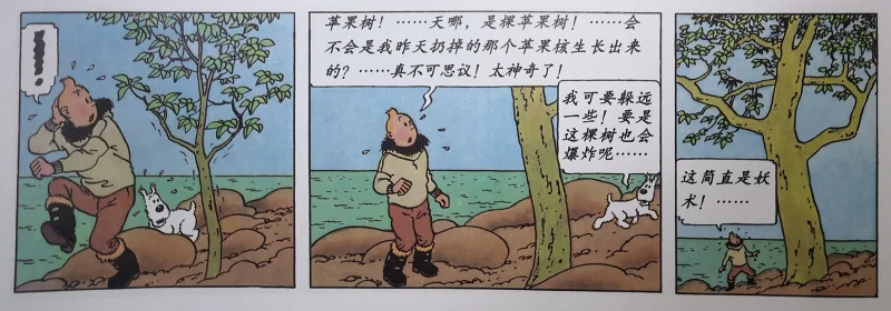 日常,日记