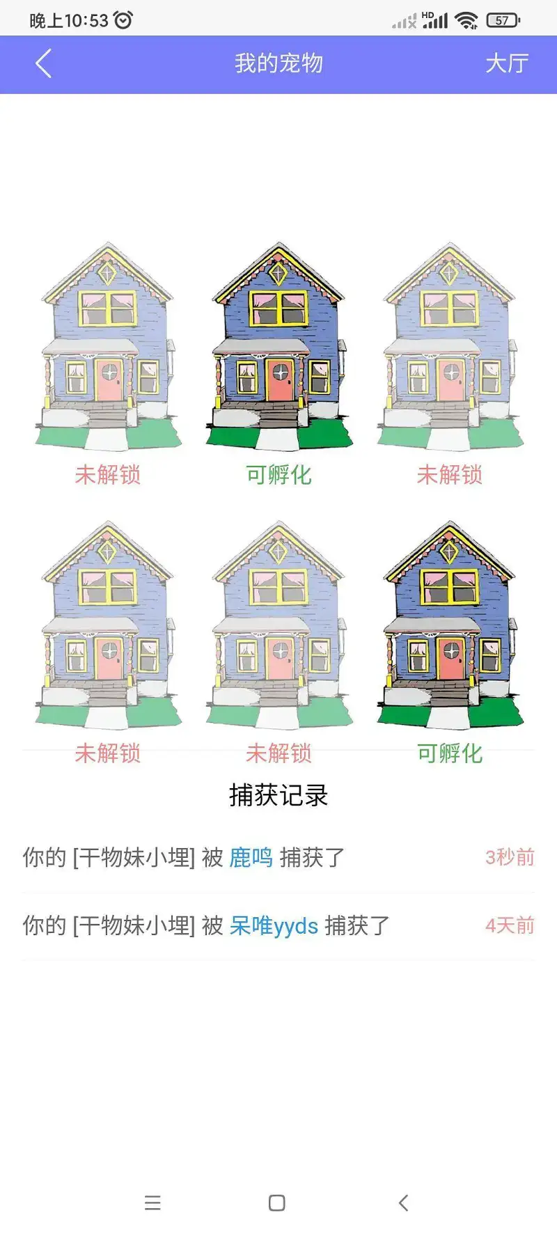官方专区,活动,宠物