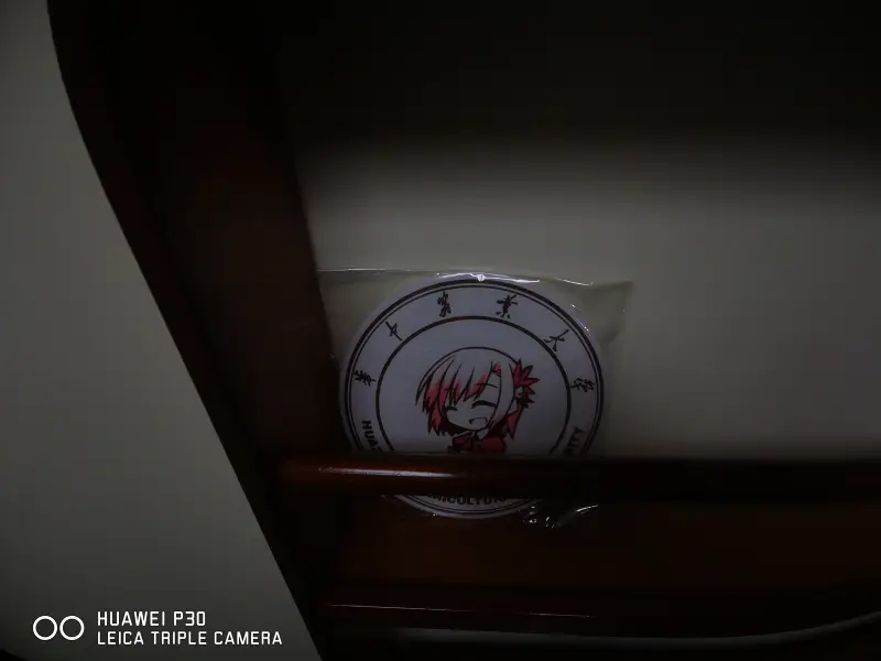 摄影