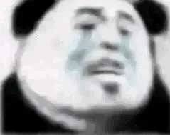 站友们好