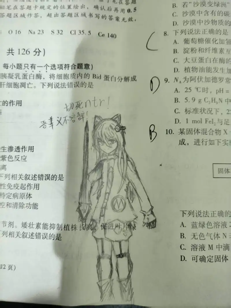 M站美图,摸鱼