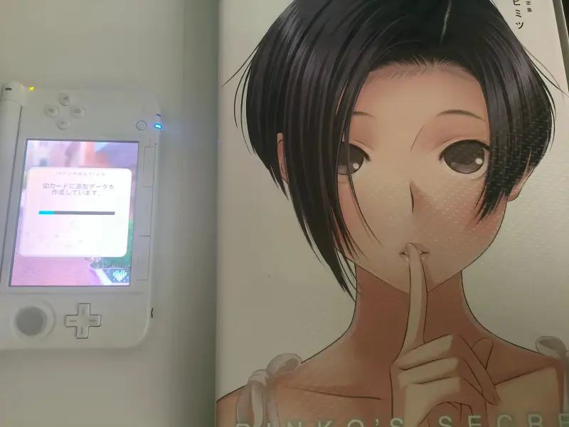 3ds,爱相随,loveplus,限定机,生日礼物