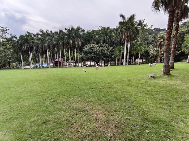 青秀山,三街两巷,特种兵般的旅游