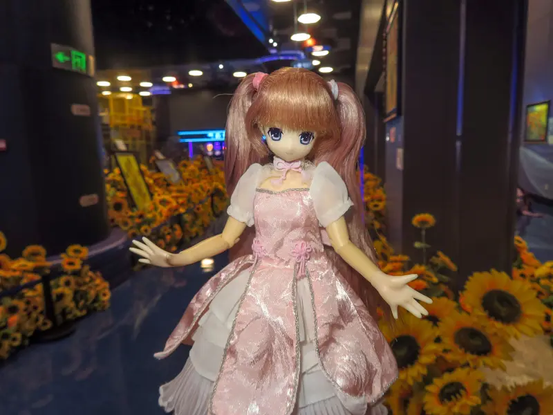azone,摄影