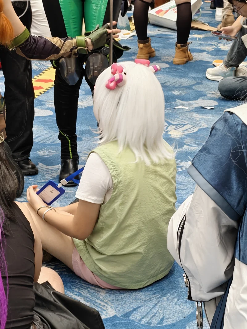 漫展,二次元,东方project,术力口,初音未来,镜音双子,特摄,奥特曼,Minecraft,痛车
