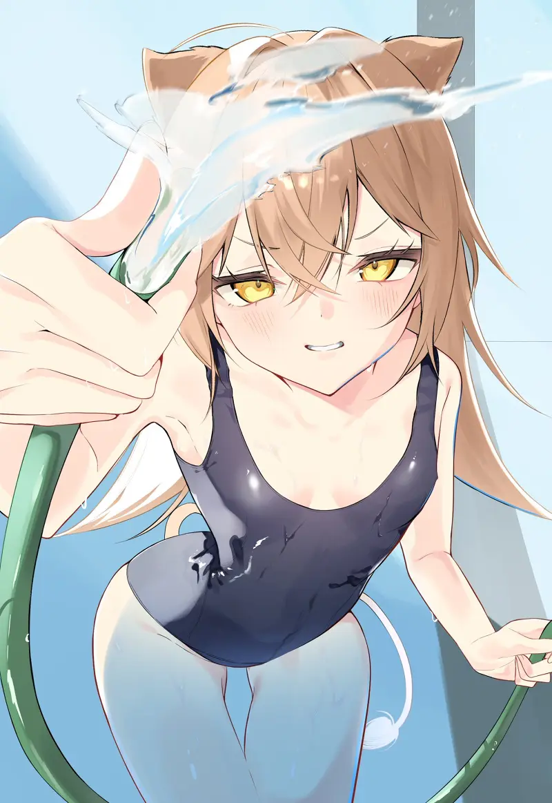 插画