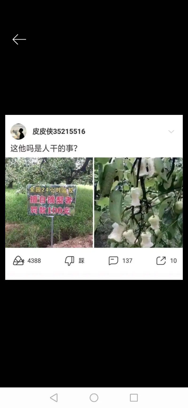 M站美图,沙雕图