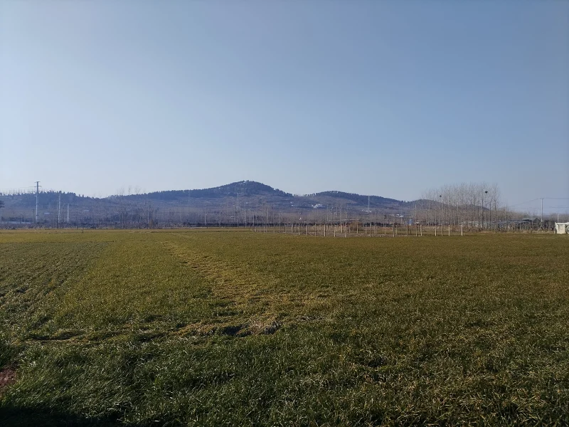山东,胡言乱语,大地小民