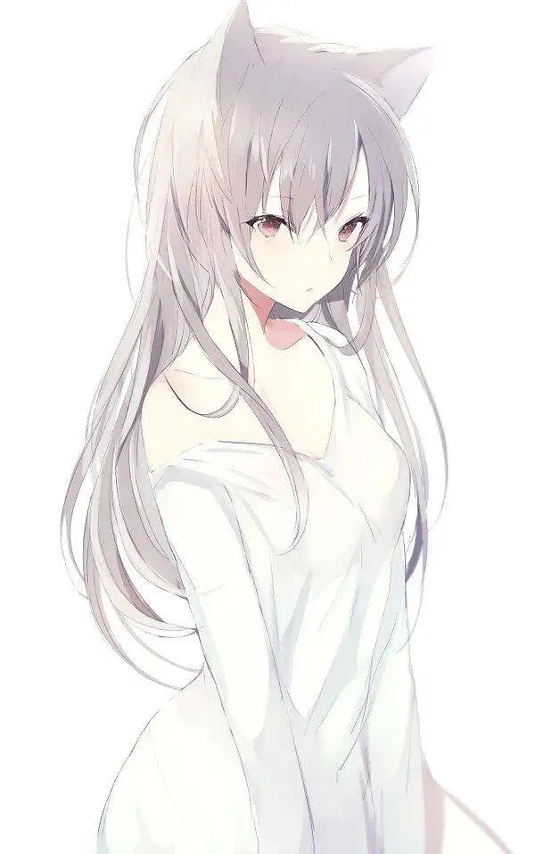 M站美图,壁纸