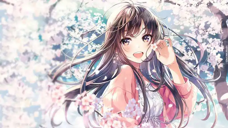 M站美图,壁纸
