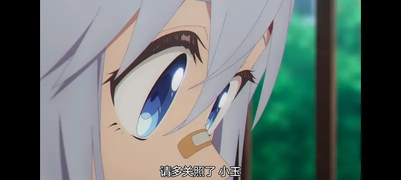 赛马娘,赛马娘PrettyDreby,芦毛灰姑娘,赛马娘芦毛灰姑娘,动画,动漫,番剧,ACG