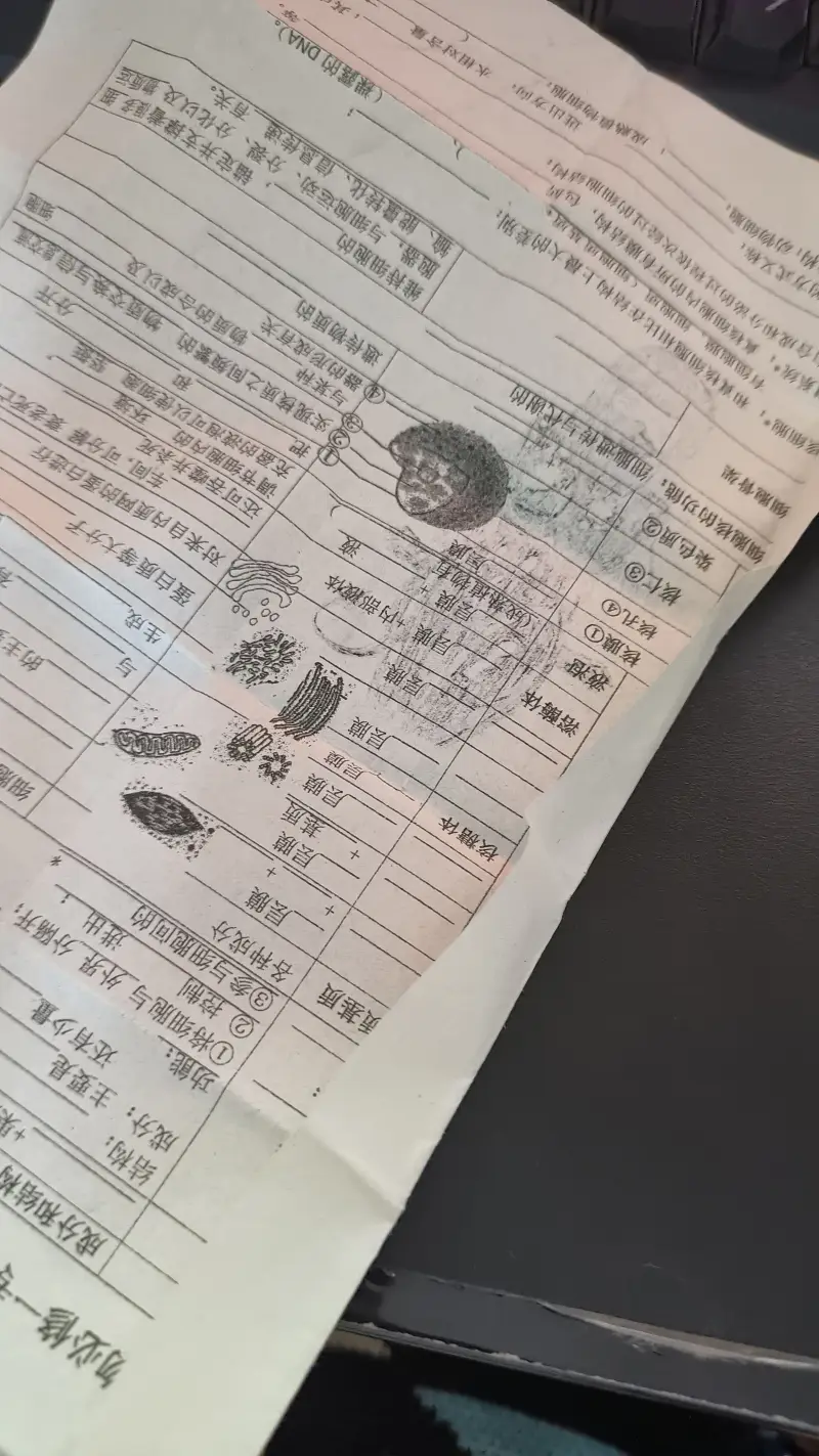 手绘,绘画