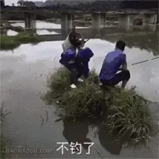 请找出图一的猫猫
