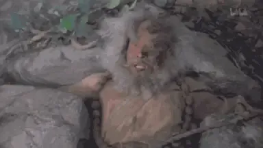 用户交流,搞笑,M站拜年祭