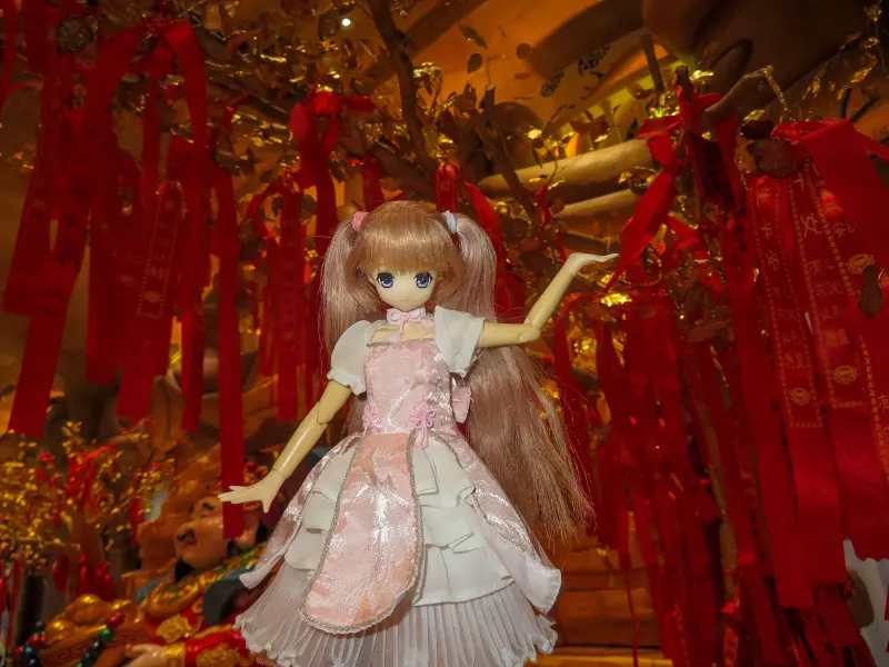 azone,摄影