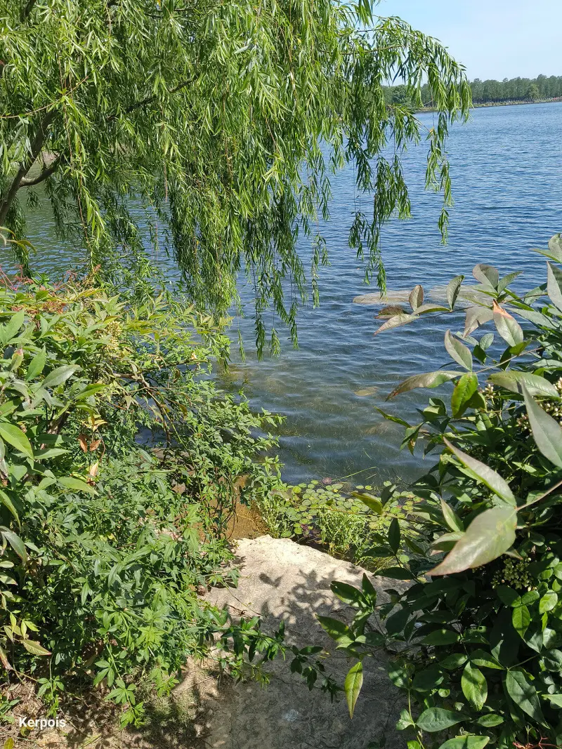 闲聊茶馆,五一假期