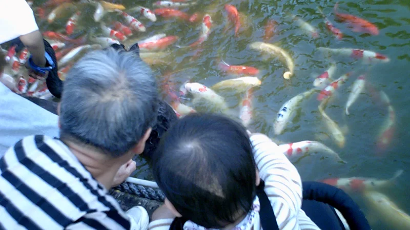 摄影,相机,记录,日常,生活,水,旅游,风景,图文