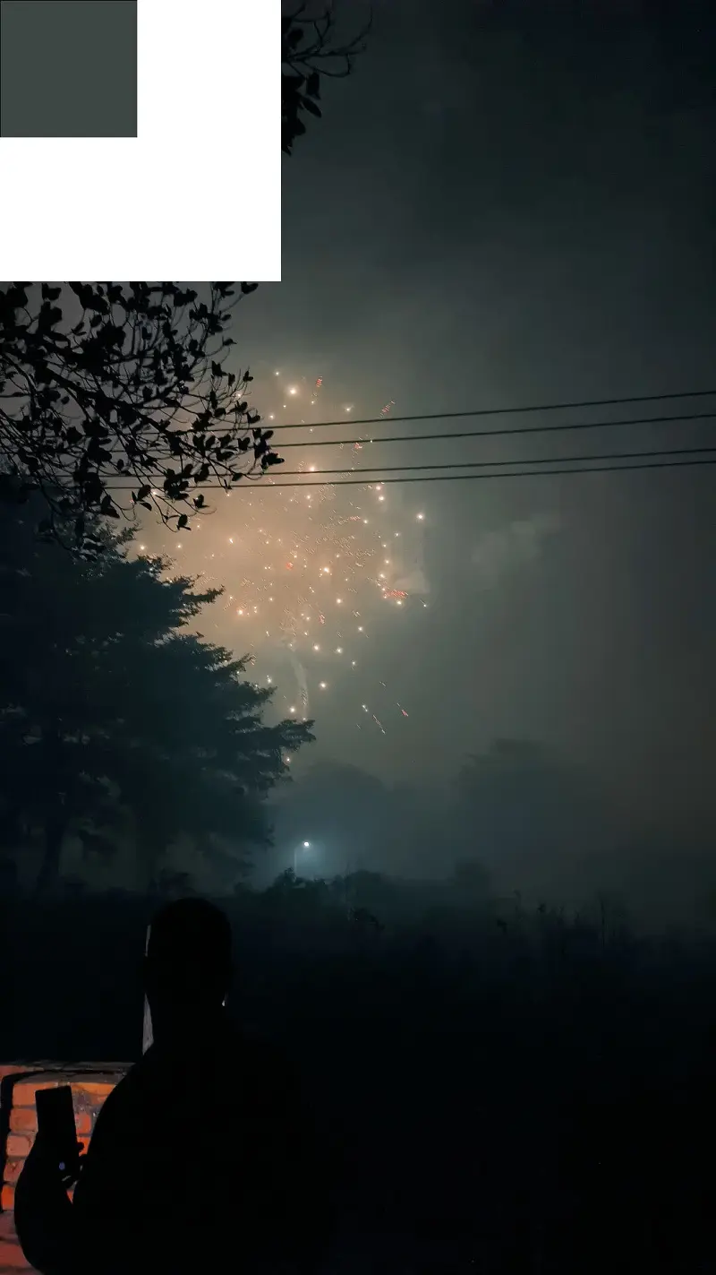 新年快乐ヾ(✿ﾟ▽ﾟ)ノ