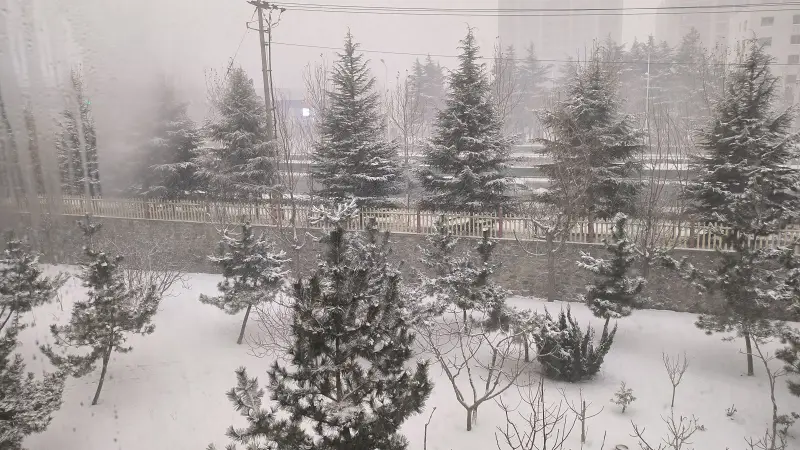05.隐没在风雪之中