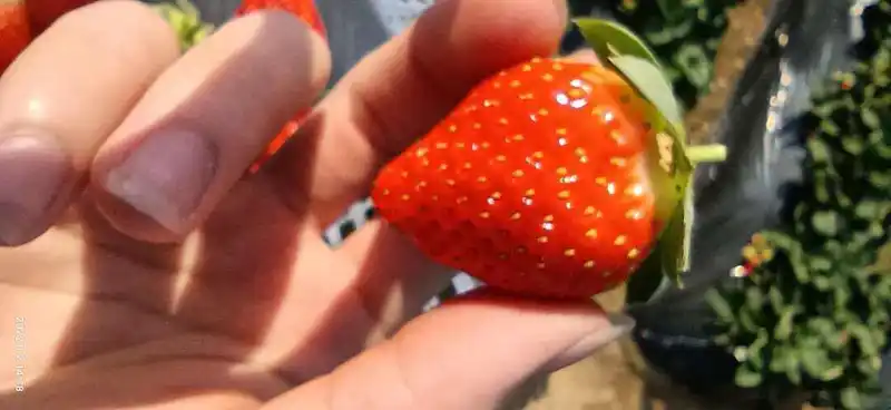 闲聊茶馆,你至少使用一个话题