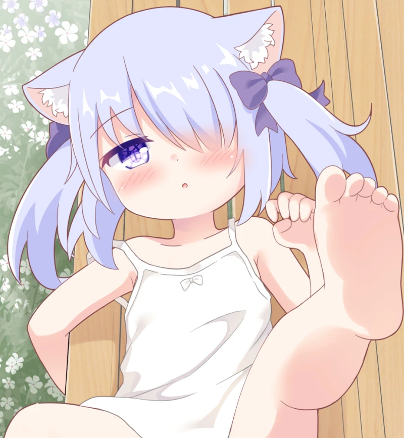 每日喵