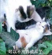 _(:зゝ∠)_
