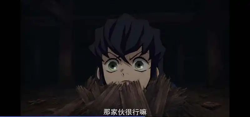动漫专区,次元资讯,动漫