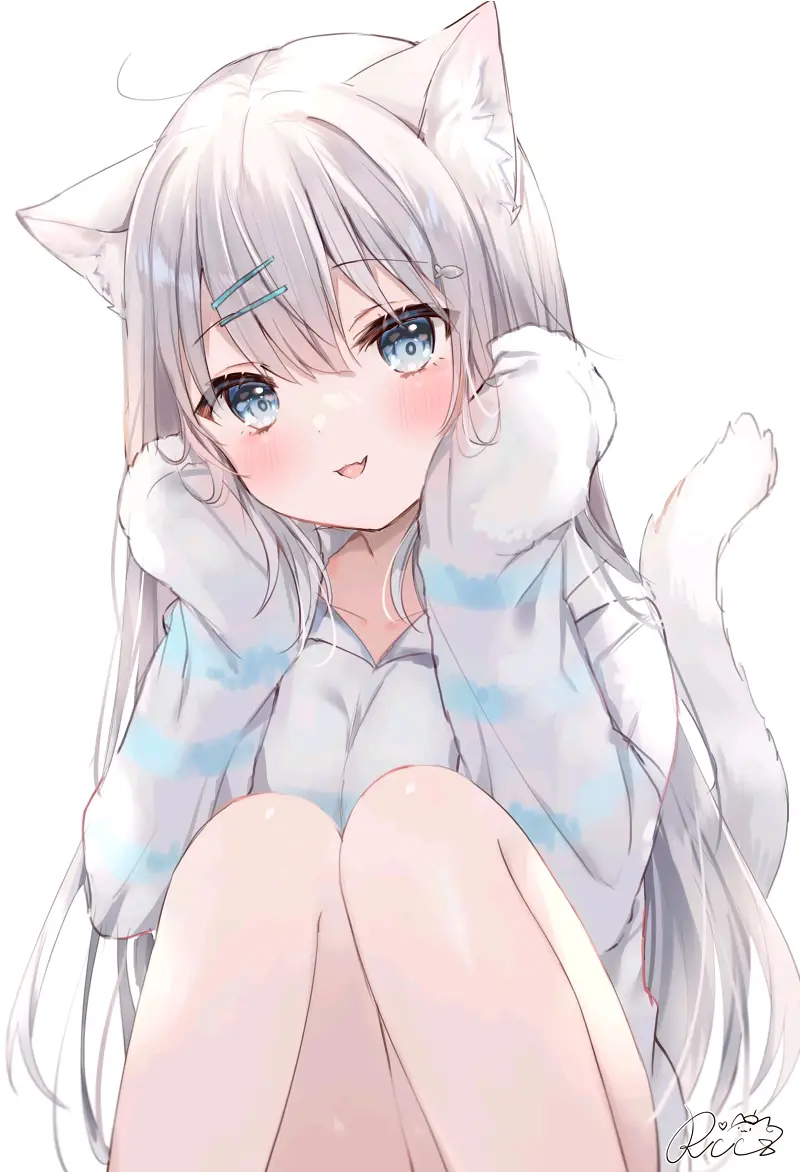 猫娘,涩图,二次元