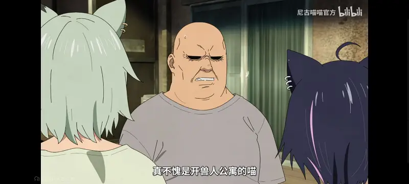 尼古喵喵,雅尼猫,动画,动漫,番剧,ACG,日漫,二次元