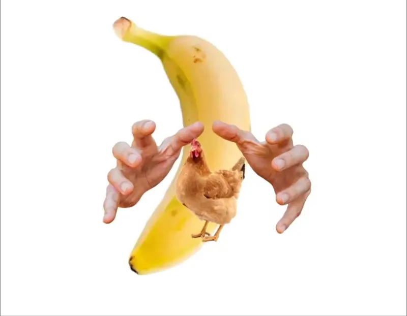 何必逃脱香蕉的控制呢👿👿👿