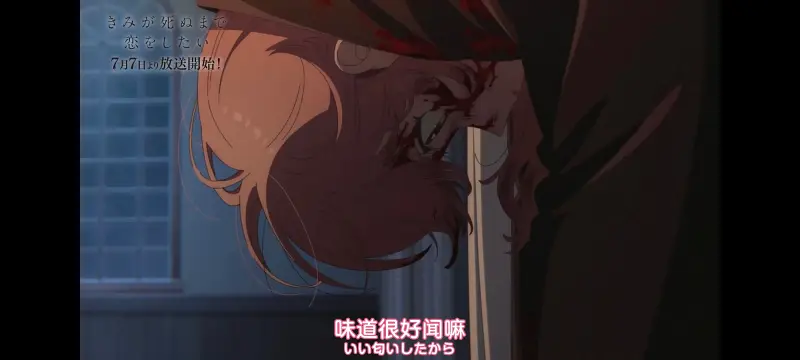 与你相恋到生命尽头,与你相恋到世界尽头,动画,动漫,番剧,百合,二次元,ACG