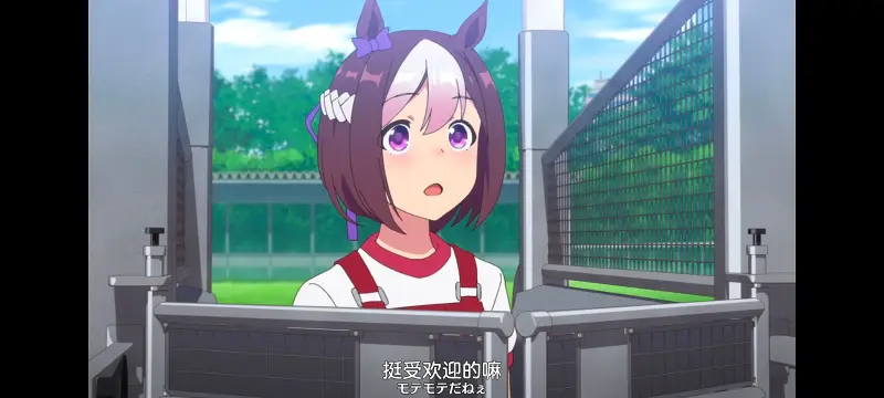 赛马娘,赛马娘PrettyDreby,动画,动漫,番剧,ACG