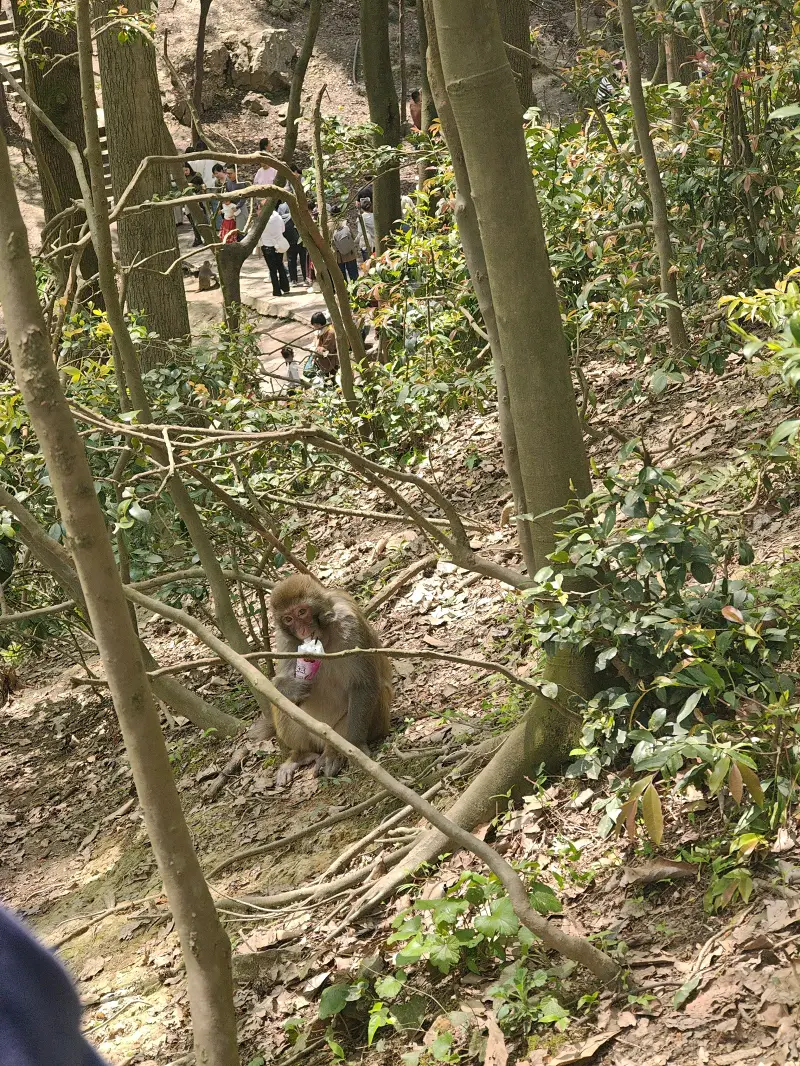 旅行