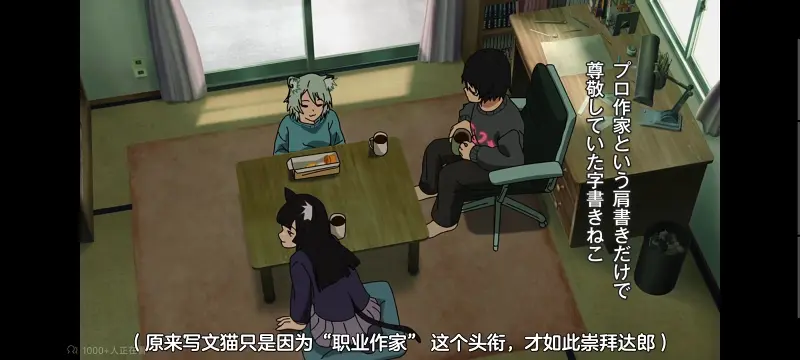 尼古喵喵,雅尼猫,动画,动漫,番剧,日漫,二次元,ACG