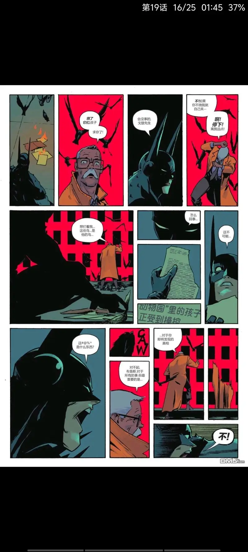 DC,DC漫画,美漫,漫画,动漫,绝对蝙蝠侠,蝙蝠侠,超级英雄,ACG