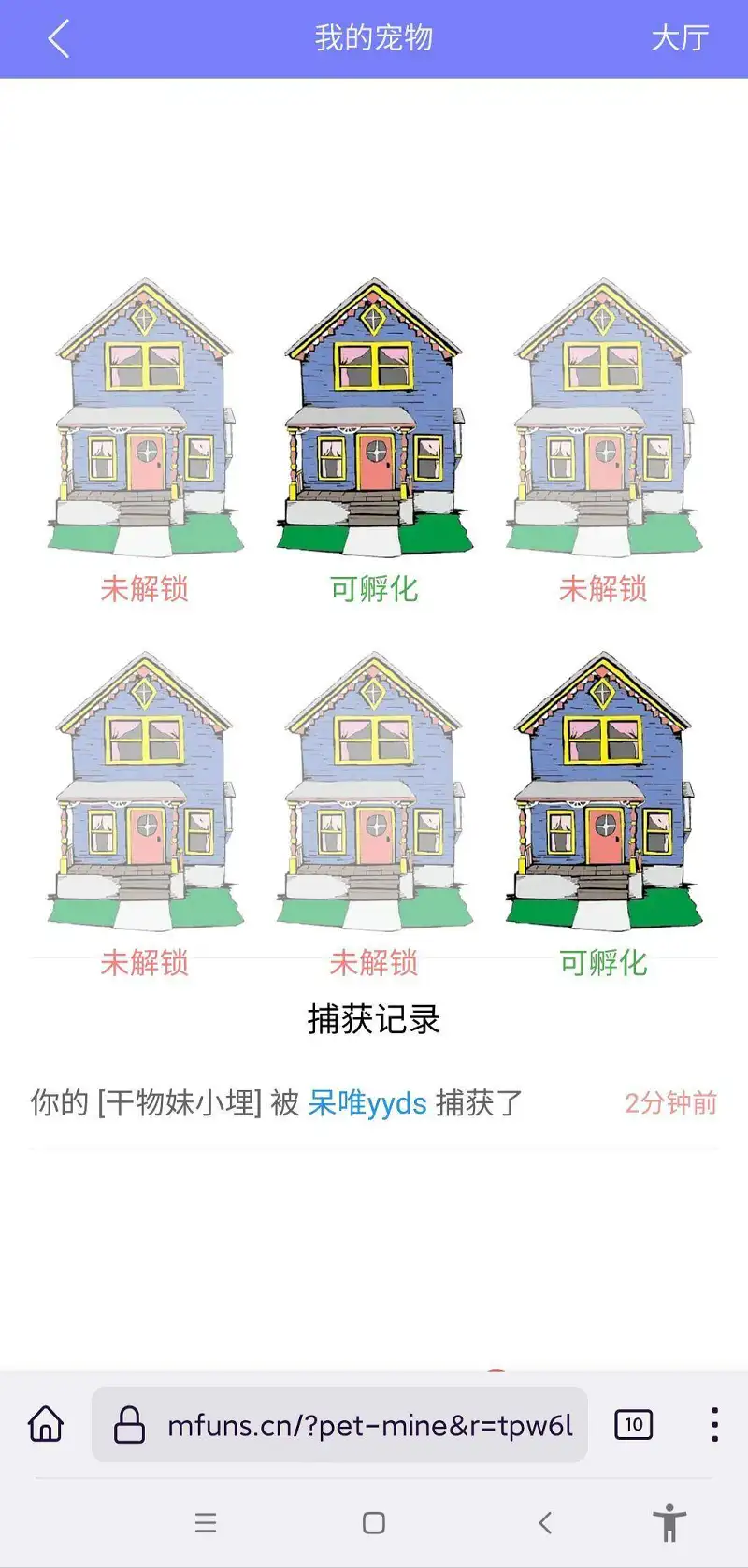 新人报道,新人
